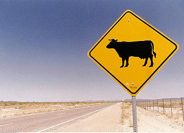 《毁灭战士：黑暗时代》现已通过Steam Deck认证